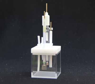 ʯӢ��늻��W��